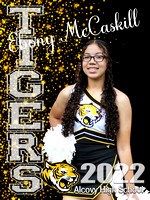 Cheer banners 2022