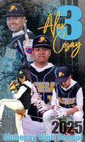 Baseball2025