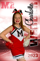 Cheer 2023