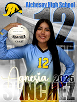 Volleyball 2025