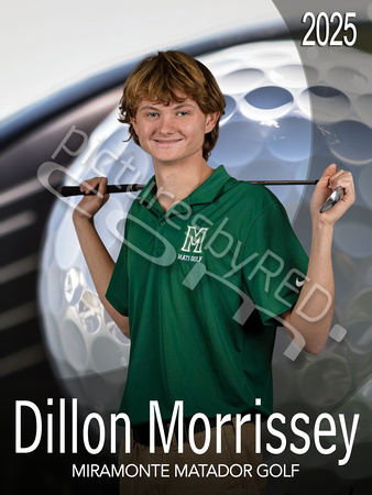 Copy of Golf Canva Template 2 (36 x 48 in) - 1