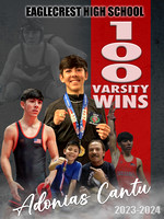 Wrestling 100 wins 2024