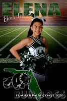 Cheer Banners