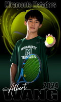 Tennis 2024